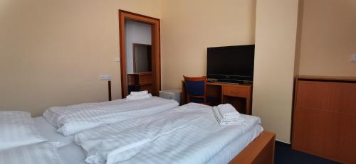 HOTEL SVRATKA - image 7