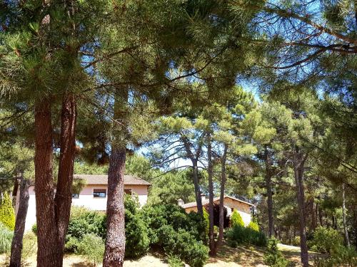  Posada del Infante Posada Real in Arenas de San Pedro