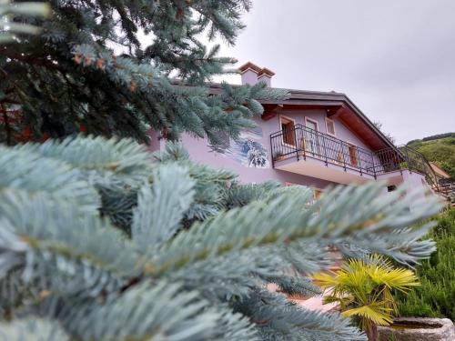 B&B Stella Alpina - Accommodation - Fontanelle