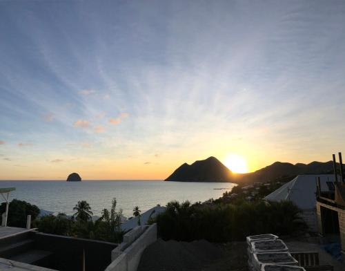 Coco Paradise Coco Paradise