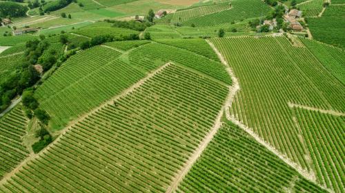 Agriturismo Relais "il Bricco"