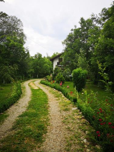 Casa de vacanta