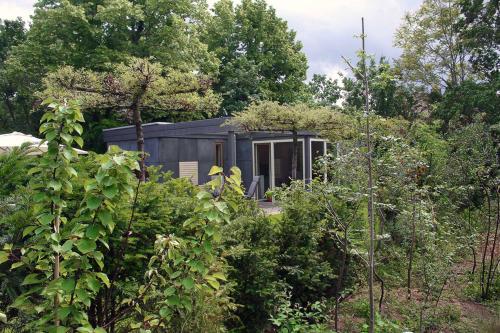 Cube-House Ferienhaus in Franken - main image