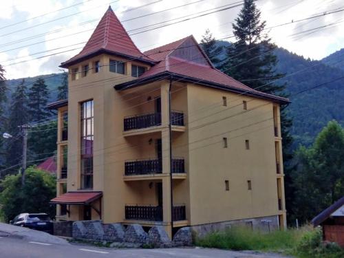 Fenyő Villa Bradul