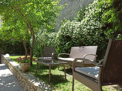 maga' housegarden - image 12