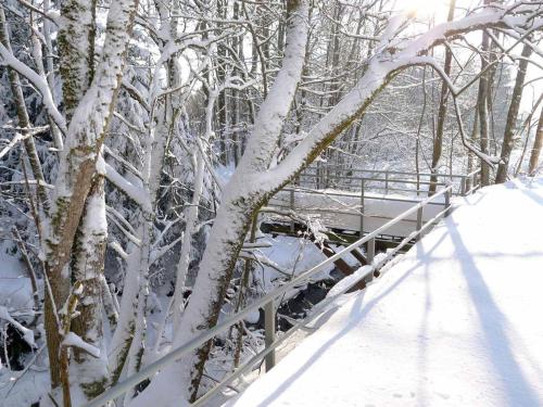 Ferienwohnungen Schönbachtal