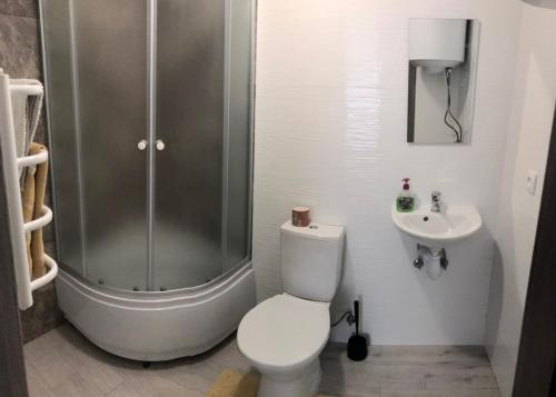 Смарт-хаб Apartment in Center, Rivne (foto 7)