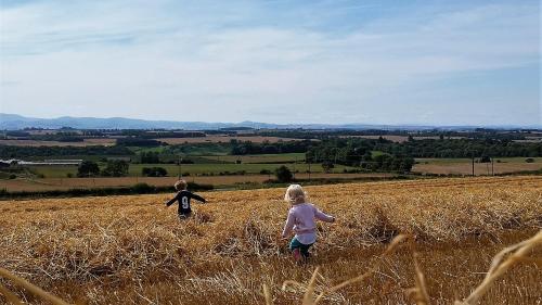 Old Farm Holiday Cottages - Scottish Borders - image 14