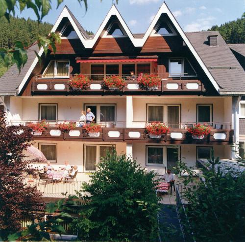 Aparthotel Jägerhaus, Willingen