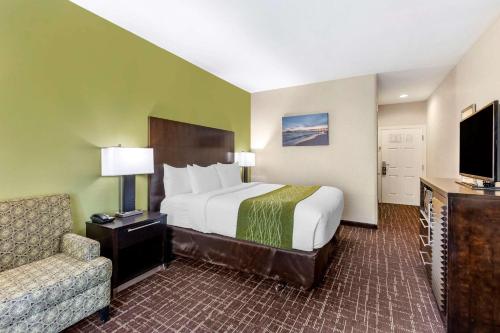 Comfort Inn San Diego Old Town - image 4