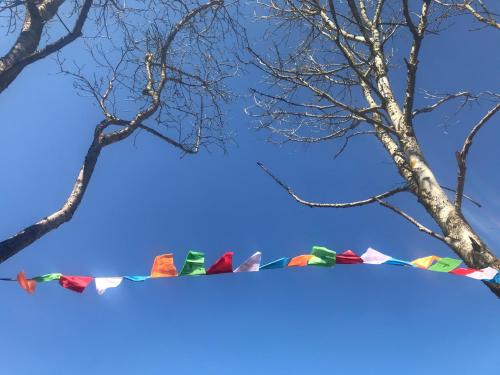 Bildstein's "Kathmandu" Bildstein's "Kathmandu"