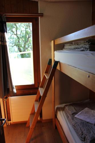 Leysin Lodge - image 2