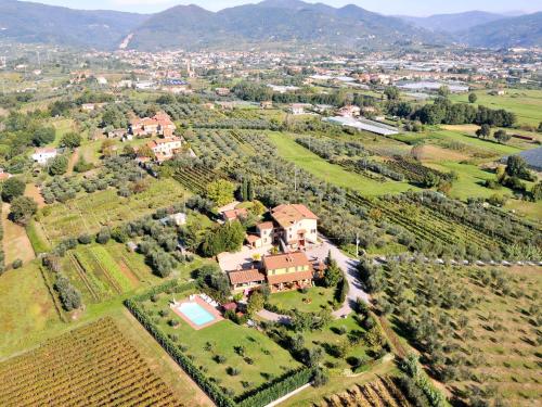  Apartment I Colletti - App- Stelle by Interhome in San Piero in Campo