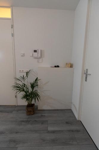 Greenstay - image 11