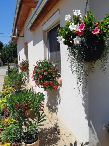 Tiszavirag Vendeghaz in 阿巴德薩洛克