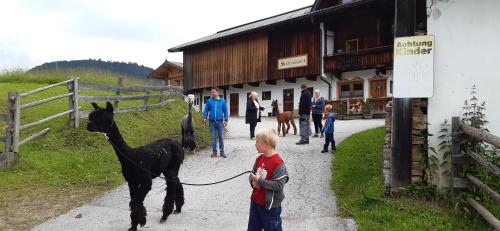 Traditionsgasthof Sollererwirt