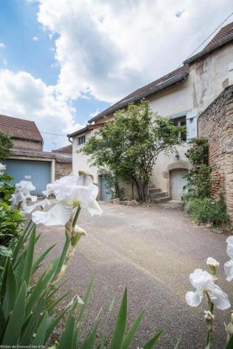 GITE Home Bacchus - Location saisonnière - Savigny-lès-Beaune