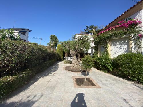 R5 Casa COLONIAL - image 13