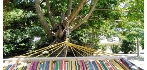 B&B Borgo del Priolo - Petfriendly