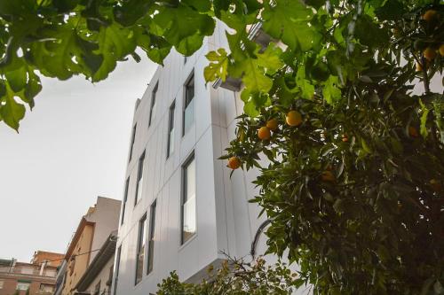 入口, Broz Hostel in 格拉纳达