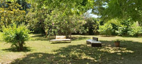 AU BORD DE L'ALZON photo 16