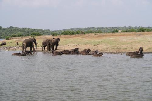 Edward Lake Retreat and Campsite, Kisenyi Village in Bushenyi