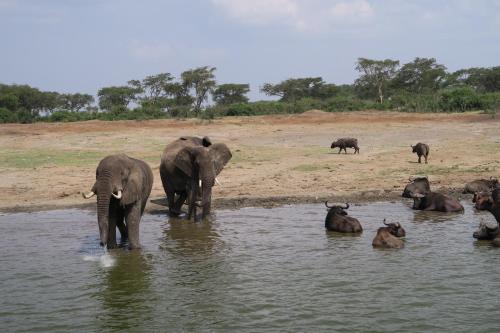 Edward Lake Retreat and Campsite, Kisenyi Village in Bushenyi