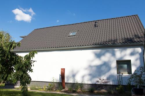 dresden-ferien haus, Drážďany (fotografie 8)