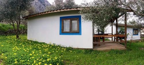  Stilarion Köyevi Pansiyon in Saip