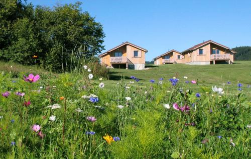 Chalets de Trémontagne 3 étoiles - La Rixouse