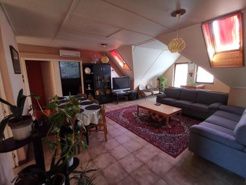 Erika Apartman Klímával (Erika Apartman Klimaval) in Balatonkeresztur