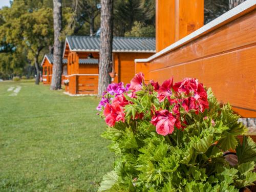 Chalet do Lago, Montargil (foto 6)