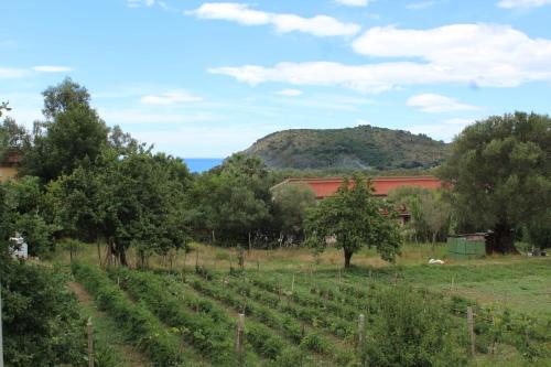 Palinuro Casa Vacanza Melita