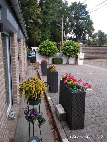  Holiday home Harmony in Brecht