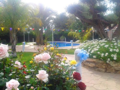 2 bedrooms apartement with shared pool furnished terrace and wifi at Elche 6 km away from the beach