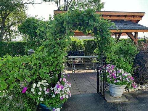 ブルー ムーン モーテル