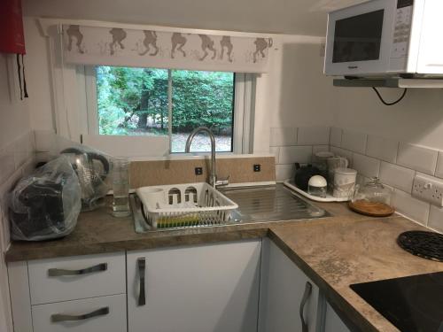 Woodland Cabin With private Wood-Fired Hot-Tub in Tilford