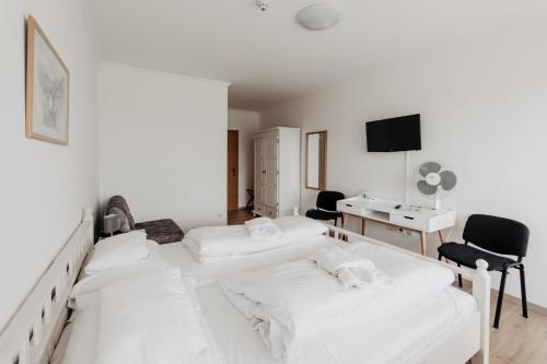 Hotel Mörbischerhof - image 4