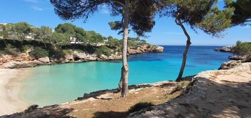 Hostal Mistral - image 3