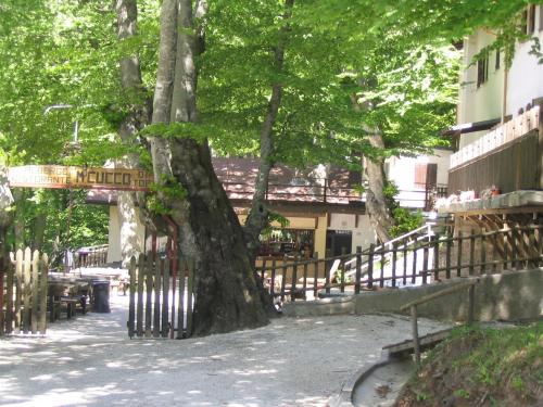 Albergo Ristorante Montecucco da Tobia