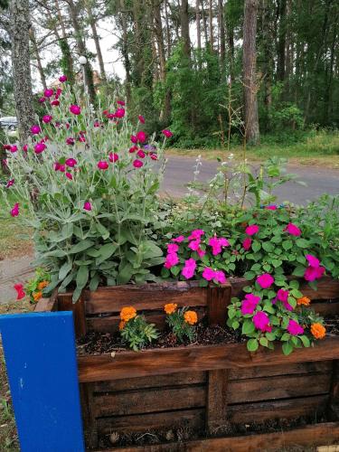 Apartamentai Preiloje MATUL Apartamentai Preiloje MATUL