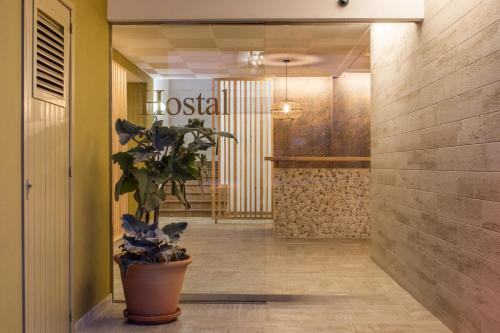 Hostal Residencia Nicolau - image 3