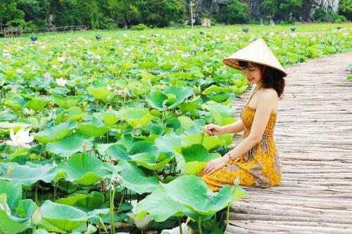 Tam Coc Moon Homestay