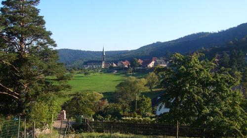 Hôtel du Haut Koenigsbourg - le hk calme et nature - image 11