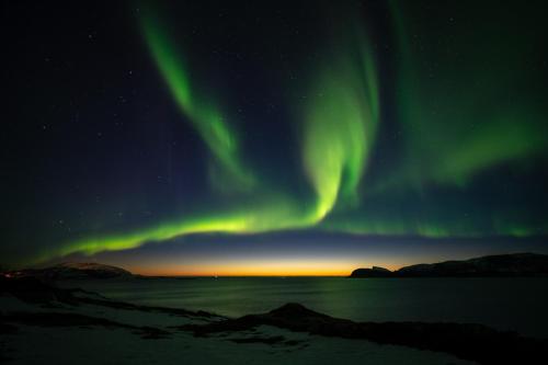 Vedere, The Crush in Kvaloysletta