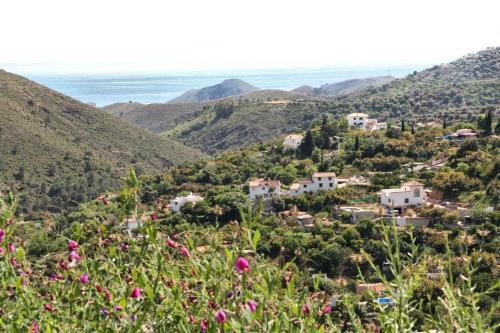 Finca Santa Ana - image 11