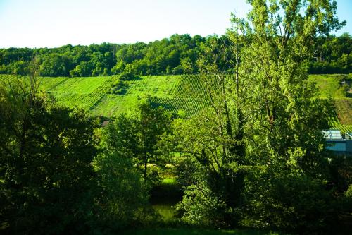 Pension-Bistro-M - image 4