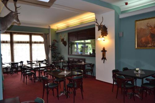 Pub/Lounge, Hotel Cerny Orel Zatec in Žatec