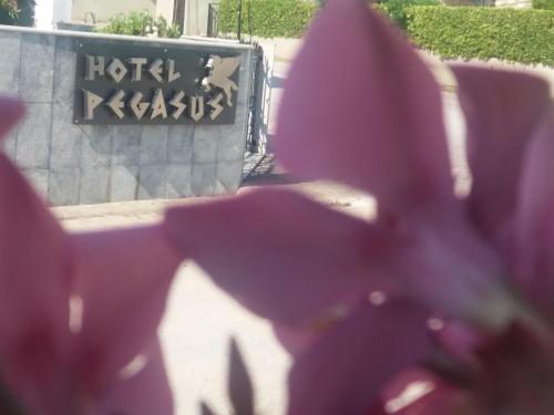 Pegasus Hotel - image 12