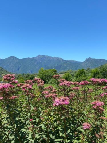 Foresteria Lombarda da Colombina chambre d'hôte Menaggio